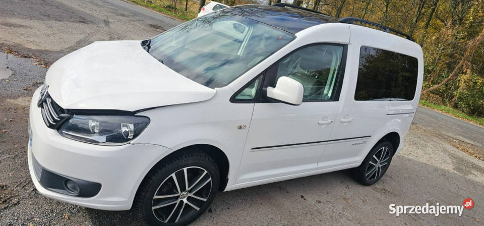 Volkswagen Caddy 110 Edition 30 III 2004 ASR (kontrola trakcji) wielkopolskie sprzedam