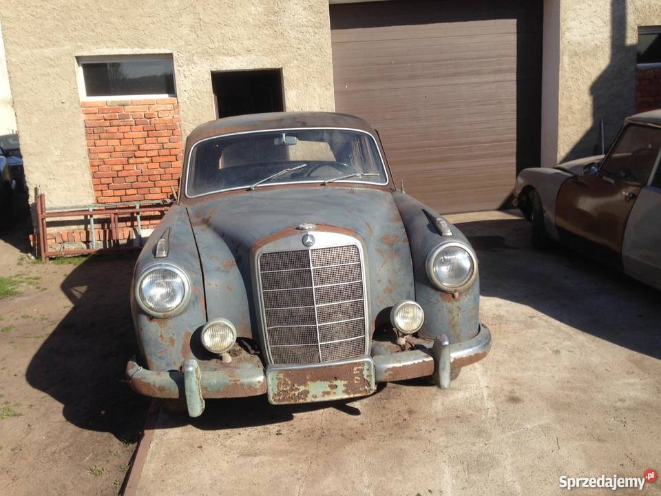 Duży Ponton 219 Osieczna