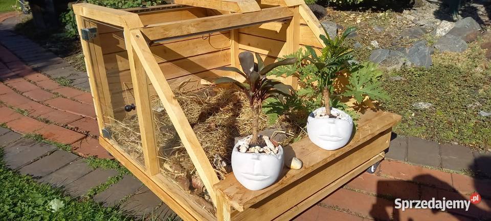Terrarium rzemieślnicze żółwia lądowego Opole