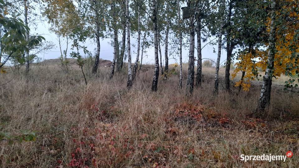 Sprzedam działkę najwyżej położoną w Grajewie Grajewo sprzedam