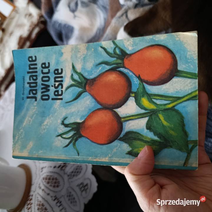 książka Jadalne owoce leśne autorstwa Wiesława Poznań sprzedam