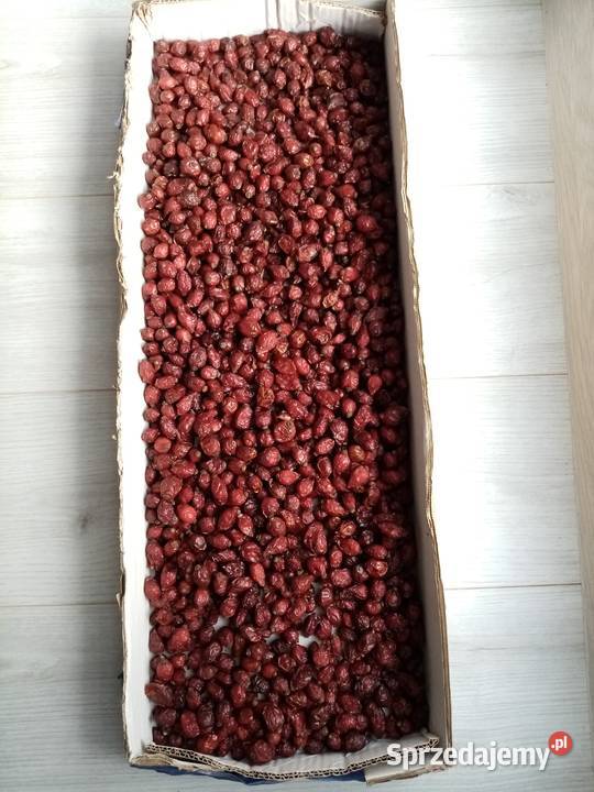 Sprzedam suchą dziką róże owoc Kraków sprzedam