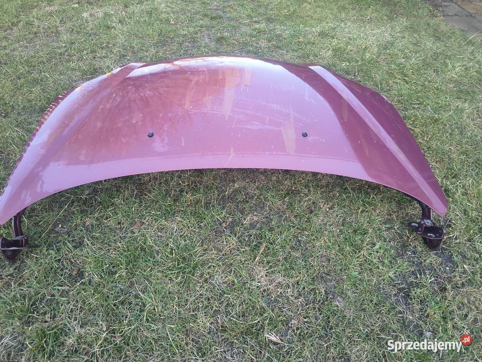 Maska Renault Scenik 1 podkarpackie Kolbuszowa