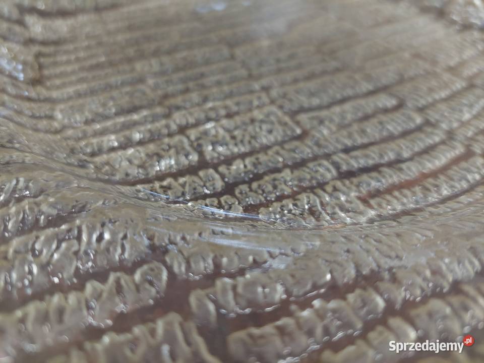 Talerz patera Sahara proj ET Drost Ząbkowice Białystok