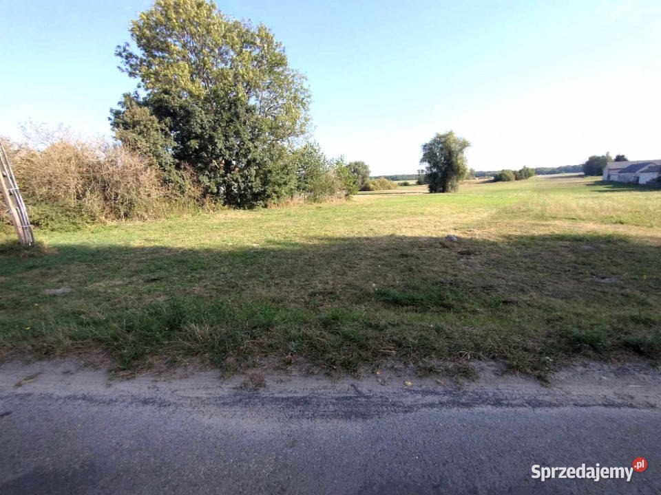 Grunt sprzedam Borków 11200m2 448m sprzedam