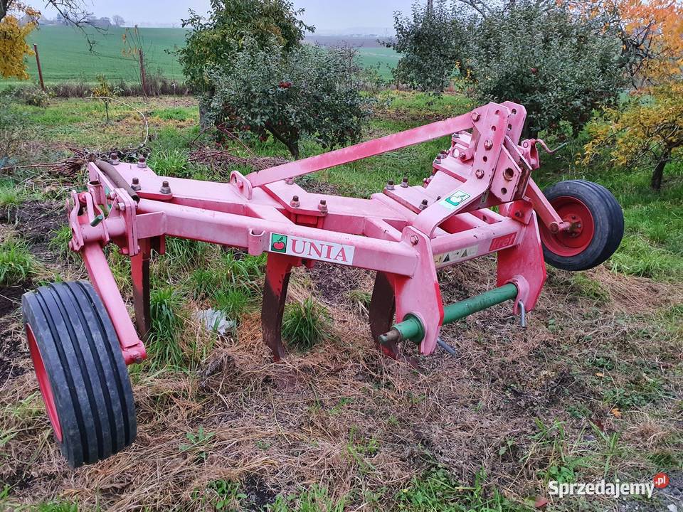 Głębosz UNIA KRET B w stanie Tczew