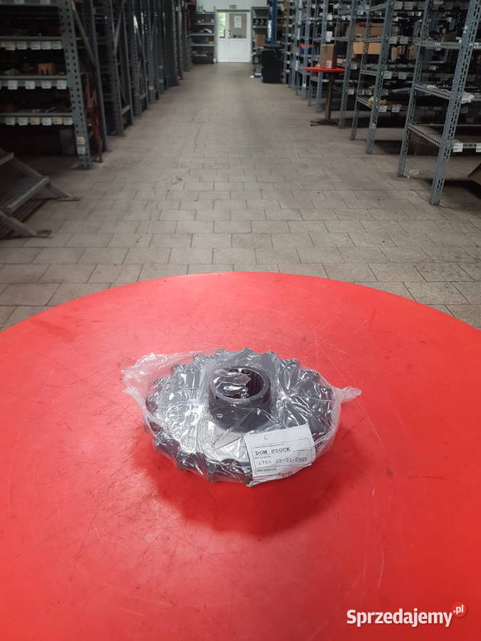1755250105GY Koło łańcuchowe 20B 19Z fi50 prasa
