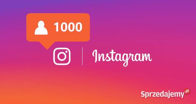 Prowadzenie kampanii reklamowej Instagram i Warszawa