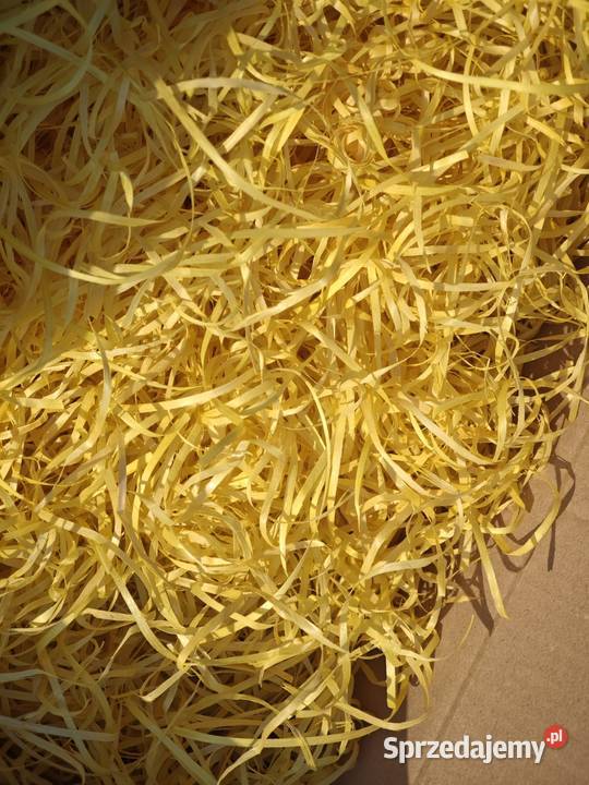 Wełna drzewna kolorowa Rozprza