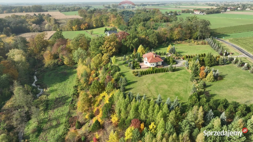 WILLA 310m na 25 HA RZEKA OGRÓD NISKIE KOSZTY 307.6m2 Stara Biała