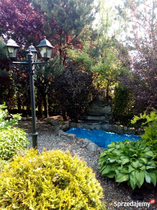 Sprzedam dom Bieruń Nowy do zamieszkania