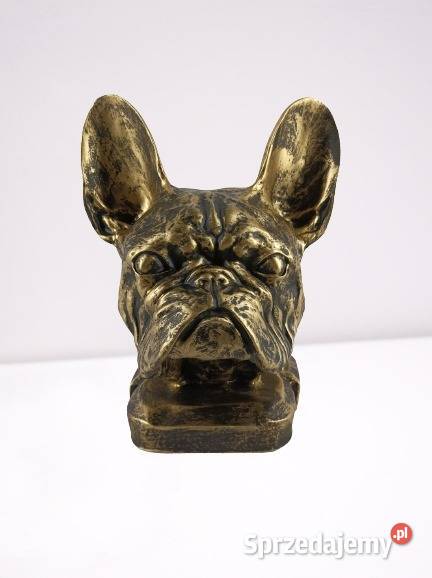 Figura Dekoracja Pies Głowa Buldog Francuski
