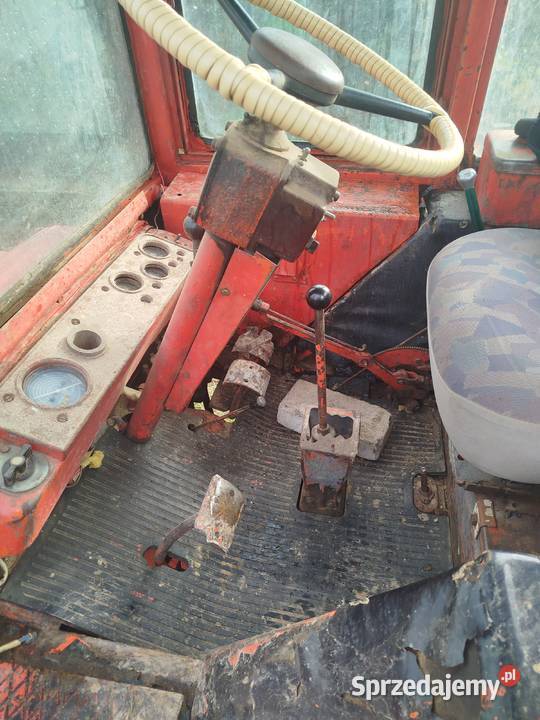 Władymirec t25 Kunów