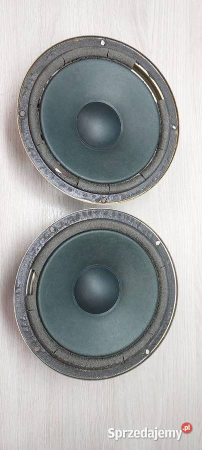 Naprawa Regeneracja Głośników Wymiana Zawieszeń świętokrzyskie Starachowice