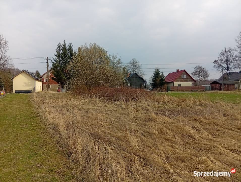 Działka w Wielkie Drogi Skawina koło Krakowa asfalt małopolskie