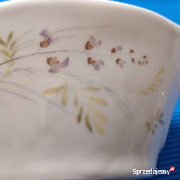 porcelana Chodzież Bukowno