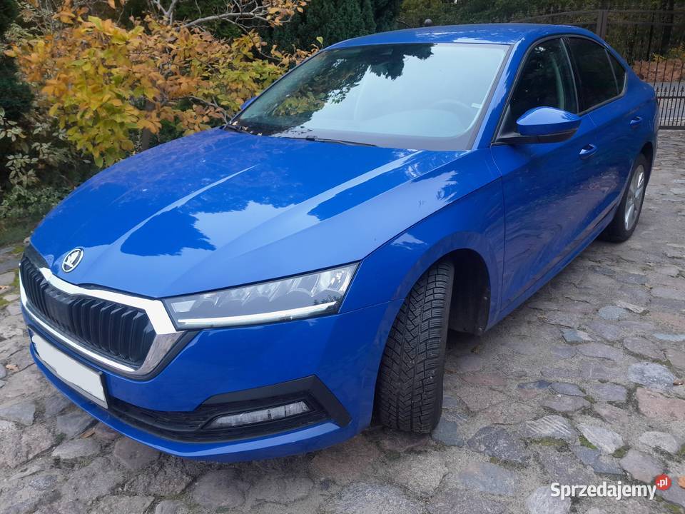 Skoda Octavia Salon Polska Octavia zachodniopomorskie Dębno
