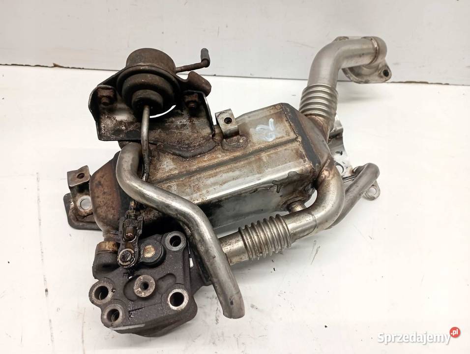 CHŁODNICA SPALIN 17 CDTI Opel Astra III 20042014