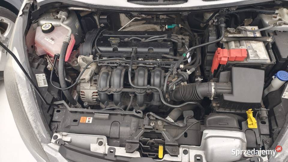 Fiesta 2010 125 60 Fiesta Warszawa sprzedam