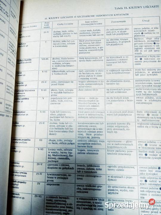 Zagospodarowanie działek i ogrodów przydomowych sprzedam