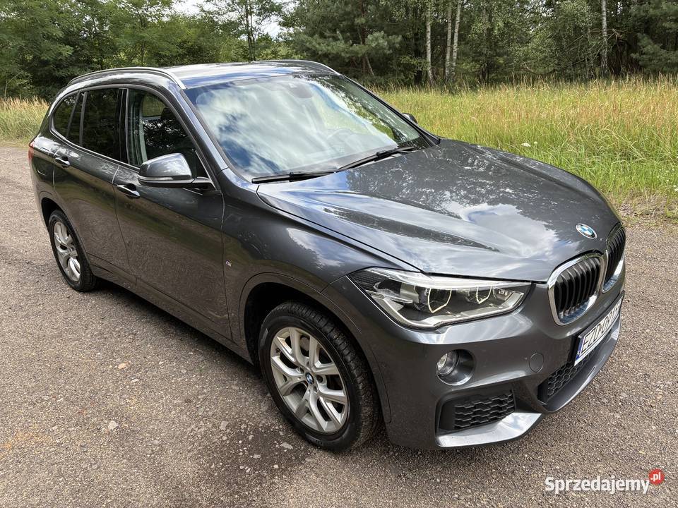 BMW X1 W M PAKIECIE 1998cm3 Szadek