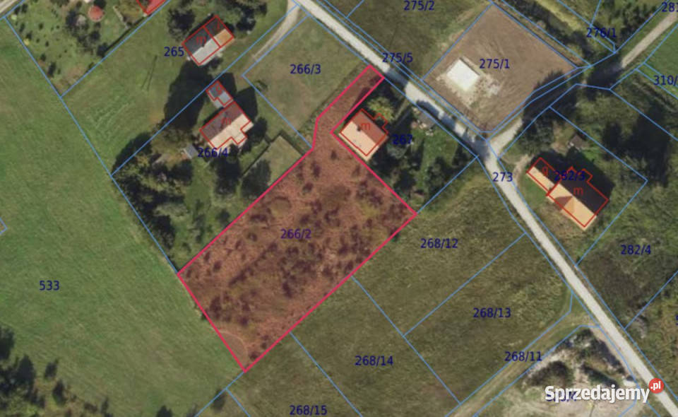 Grunt 2914 metry Drewnica inwestycyjna sprzedam