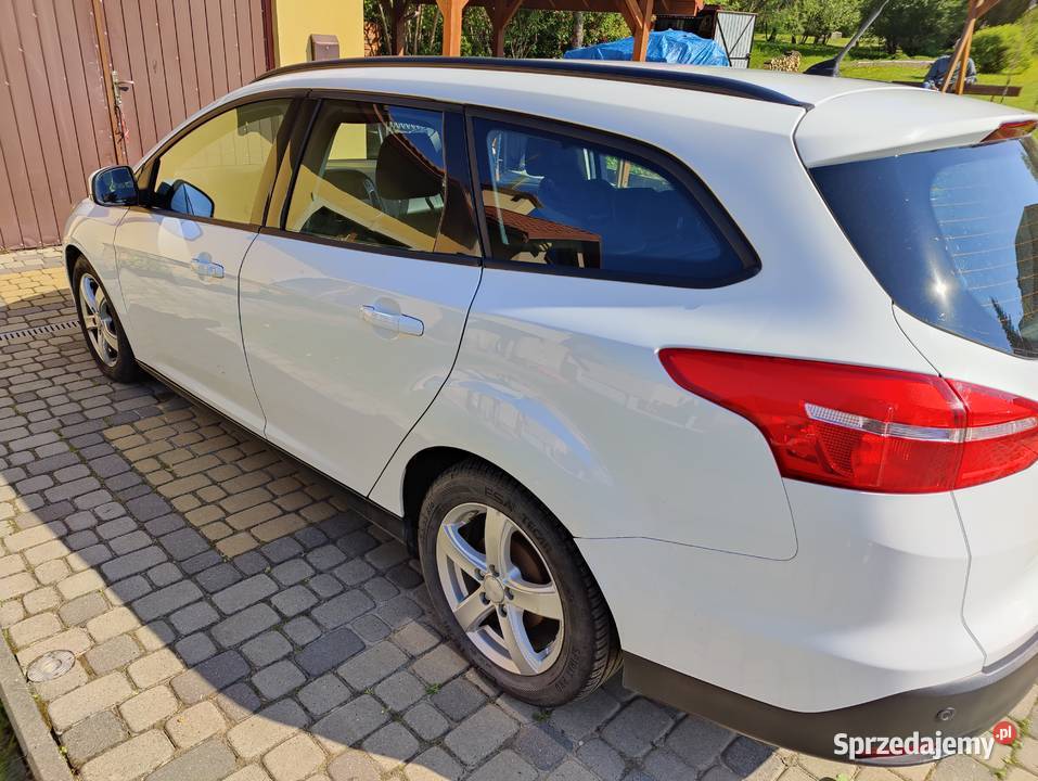 Ford Focus 15 2016 95 Bezproblemowy oszczędny i czujnik parkowania Focus Czudec sprzedam