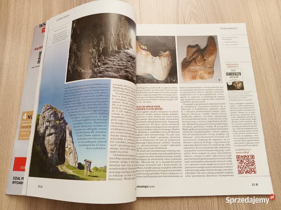 Archeologia żywa Pochodzenie i ewolucja sprzedam