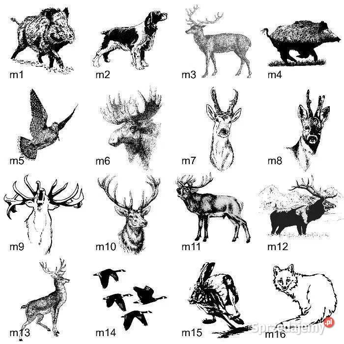 OBROŻA z IMIENIEM psa kota 100 skóra juchtowa no