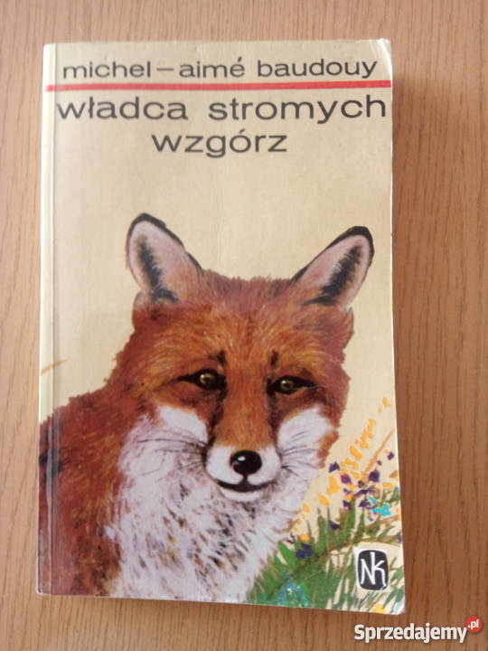 Władca stromych wzgórz książka MichelAim Baudouy Książki dla dzieci śląskie Dąbrowa Górnicza