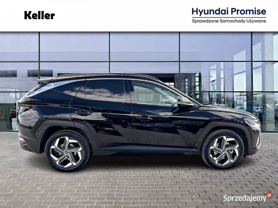 16 HEV 230 Platinum FV23 Dealer Hyundai Keller nieuszkodzony Hyundai Gliwice sprzedam