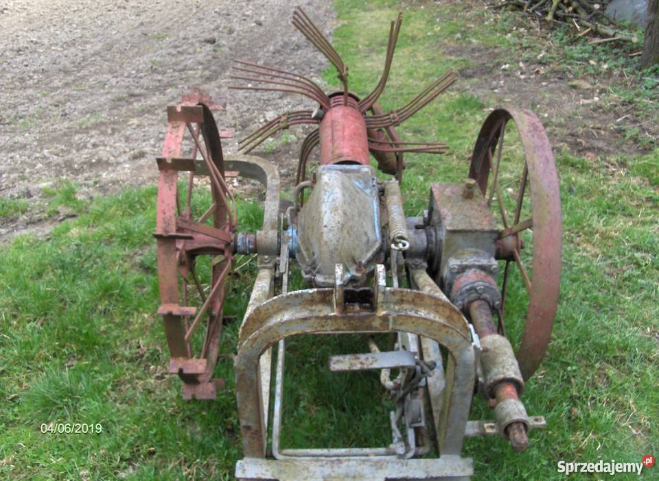 Kopaczka gwiazdowa na wom Jawiszowice