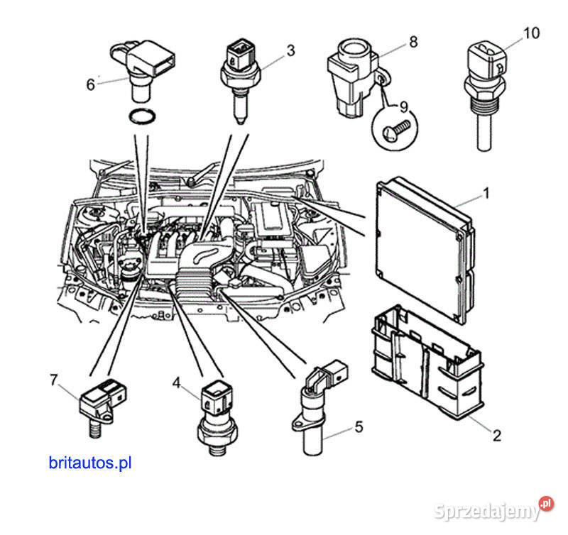 CZUJNIK POWIETRZA DOLOTOWEGO NNK000050 ROVER 75 osobowe Poznań