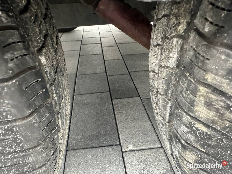 Przyczepa do przewozu 15 konia kąt B dmc 1250 Mokra sprzedam