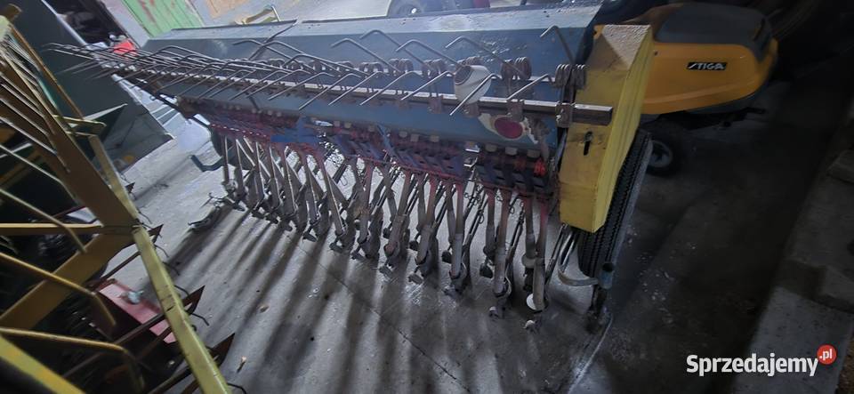 Siewnik Poznaniak świętokrzyskie Sędziszów sprzedam