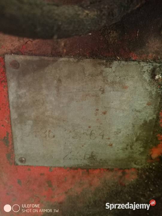 Sprzedam dzik 2 Przemyśl