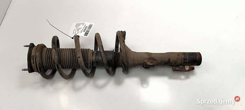 AMORTYZATOR LEWY PRZÓD FORD TRANSIT CUSTOM L1H1 kujawsko-pomorskie