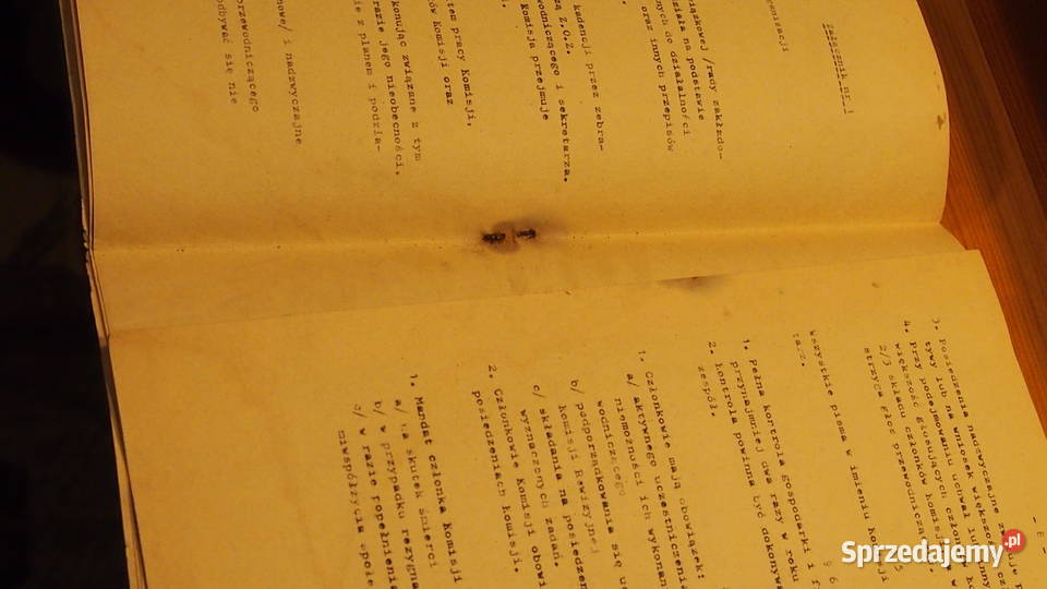 Główna Komisja Rewizyjna Związku Hutników w