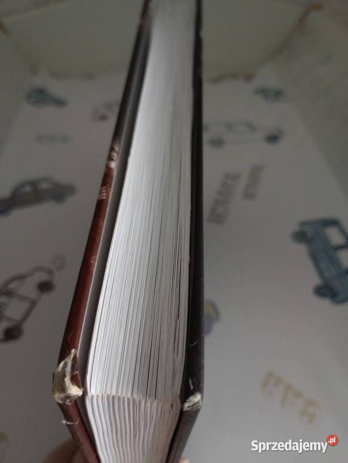 Warszawa Listopad 1918 Lech Wyszczelski twarda Pozostałe Szczecin