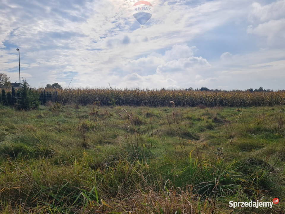 Działka obok Pułtuska z Warunkami Zab Pułtusk