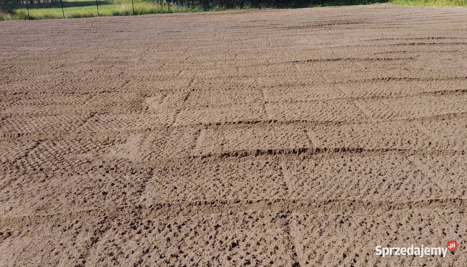 Ogrodytrawnikisianie trawy śląskie Dąbrowa Górnicza