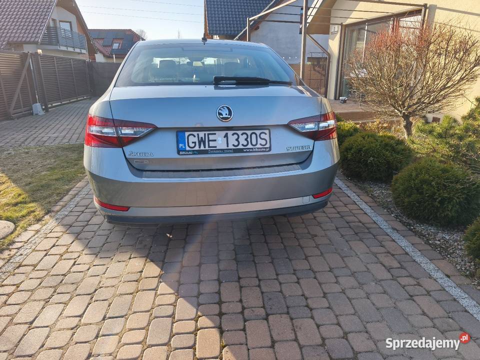 Polski salon skóry bogata wersja OC na DSG Gowino