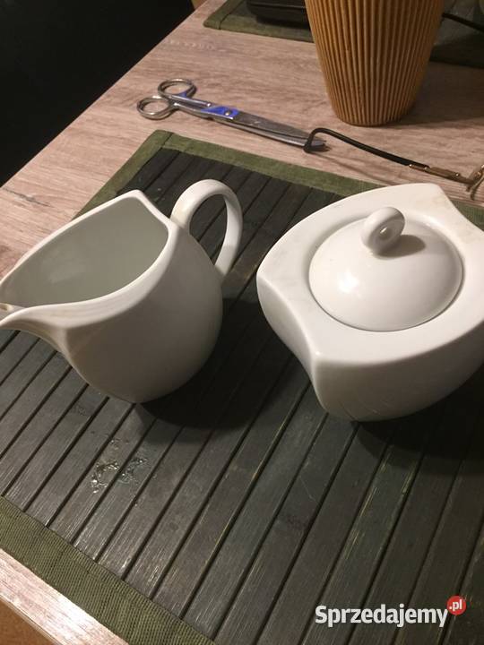 Wyroby z porcelany kujawsko-pomorskie