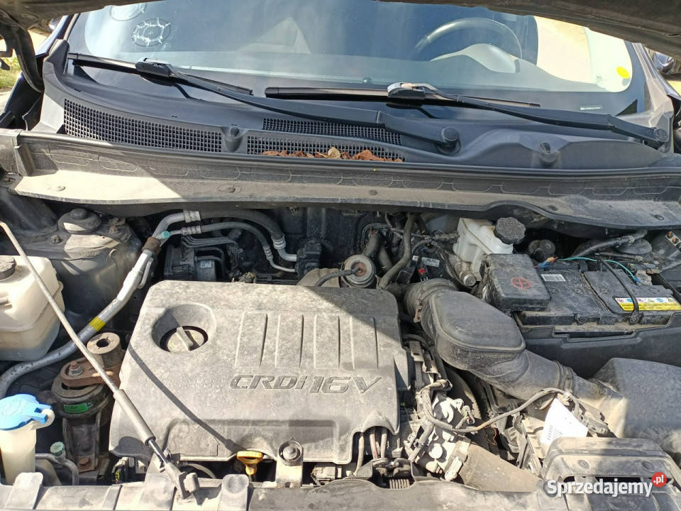 Kia Sportage Kia Sportage 17CRDI 115 15r III nieuszkodzony Tarnów