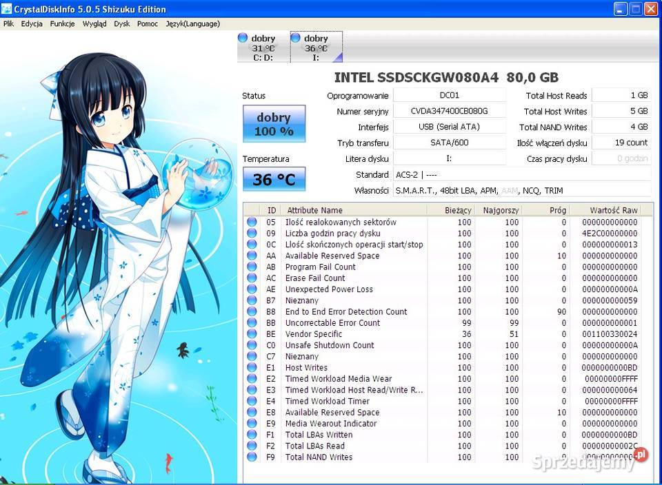 Dysk SSD Intel 530 Series 80 GB SSD M2NGFF Olkusz