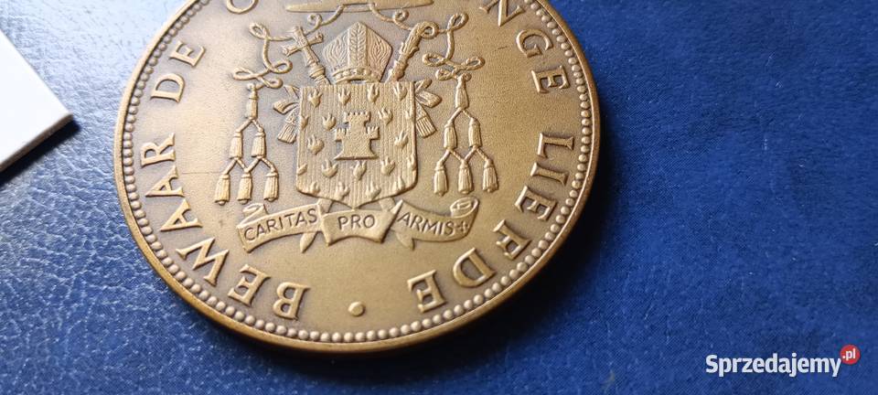 Stare monety Medal 127 Lesko