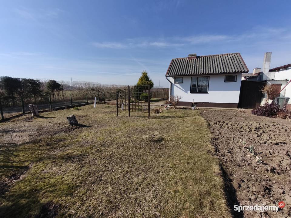 Działka ROD Magnolia 302m2 45k 149zł/m2 kujawsko-pomorskie Grudziądz