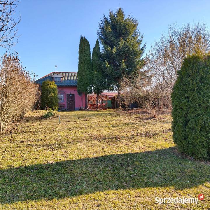 Sprzedam działkę w ROD RELAKS Dębica