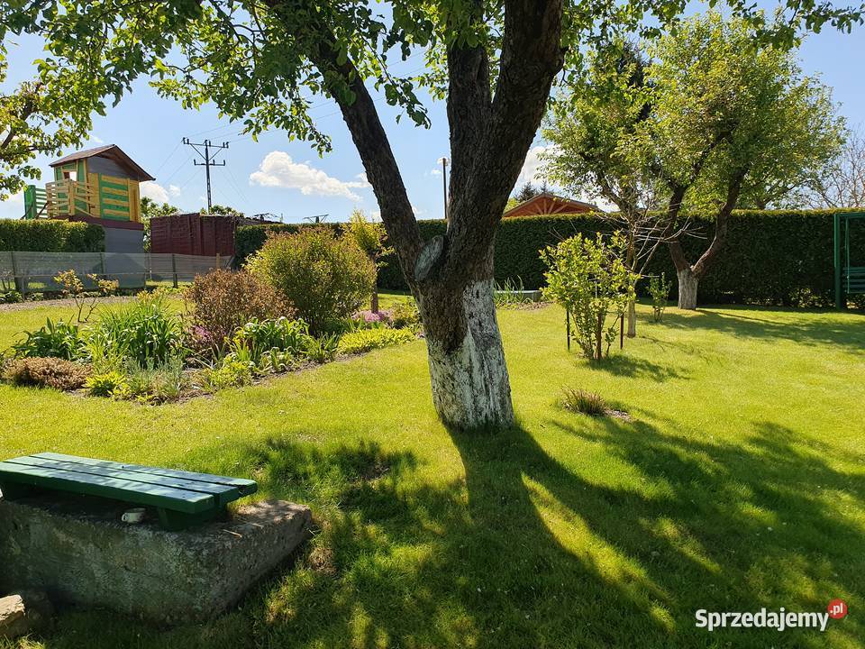 Sprzedam ogródek działkowy 460 m Ostróda