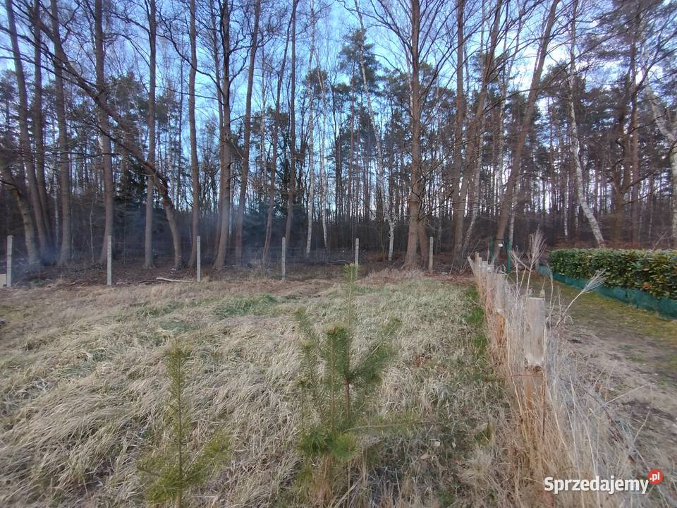Sprzedam przepiękną działkę pod lasem 1780m2 Goleniów